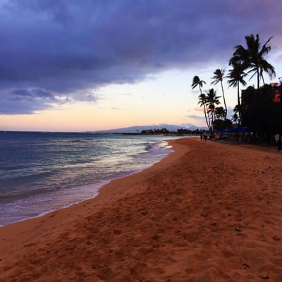 Kahanamoku Beach by null