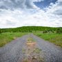Photo of May Tree Farm