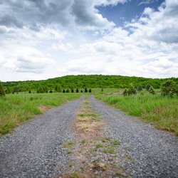 May Tree Farm - Nestled in the Potomac Highlands, explore our fully operational farm.
