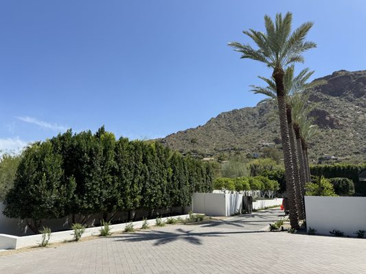 Premier Landscape & Tree Services on Yelp