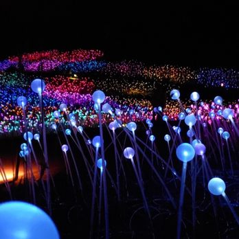Field Of Lights Sensorio 58 Photos 15 Reviews Festivals 4380 Highway 46 E Paso Robles Ca Phone Number Yelp