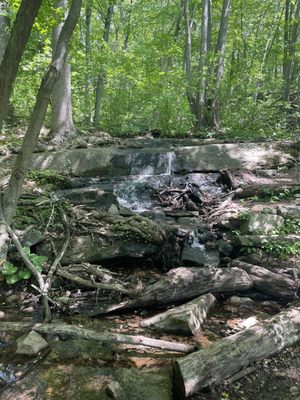 Cranberry Lake Preserve by null