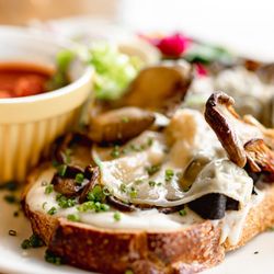 The Endive Eatery