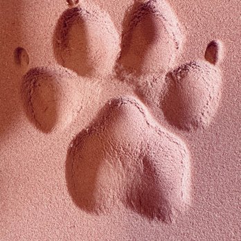 Faithful Hearts Mobile Veterinary Services - PawPals Keepsake (Large) - Veterinarians Near Me - Honea Path, South Carolina Faithful Hearts Mobile Veterinary Services - PawPals Keepsake (Large) - Veterinarians Near Me - Honea Path, South Carolina