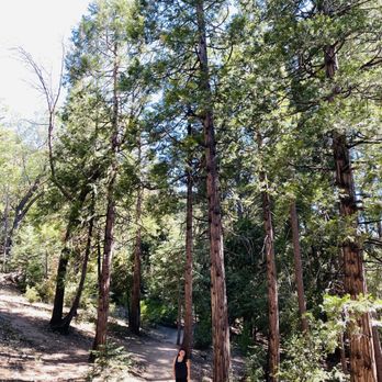 Ernie Maxwell Scenic Trail - Hiking Near Me