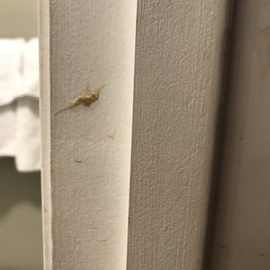 Anaheim Lodge on Yelp