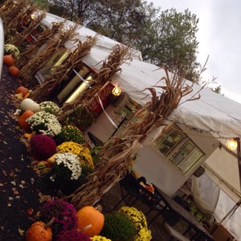 My Sons Rib Shack - a row of pumpkins - Barbeque Near Me - Waynesburg, Pennsylvania