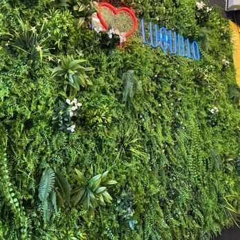 La Fonda Gourmet - Green wall - Puerto Rican Near Me - Luquillo, Puerto Rico La Fonda Gourmet - Green wall - Puerto Rican Near Me - Luquillo, Puerto Rico