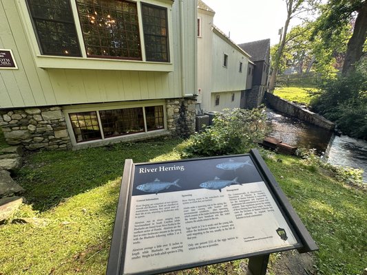 Plimoth Grist Mill by null