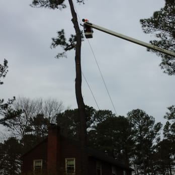 Ernie's Tree Service - Tree Services Near Me - Montpelier, Virginia Ernie's Tree Service - Tree Services Near Me - Montpelier, Virginia