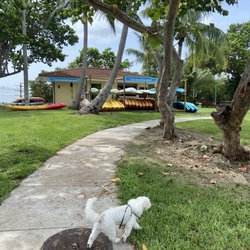 Morningside Watersports