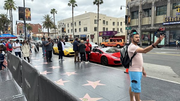 Hollywood Walk of Fame by null