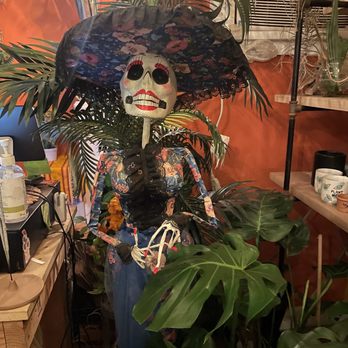 Latinx With Plants - LA. - Nurseries & Gardening Near Me - Los Angeles, California