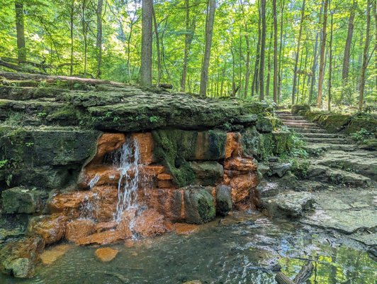 Glen Helen Nature Preserve by null