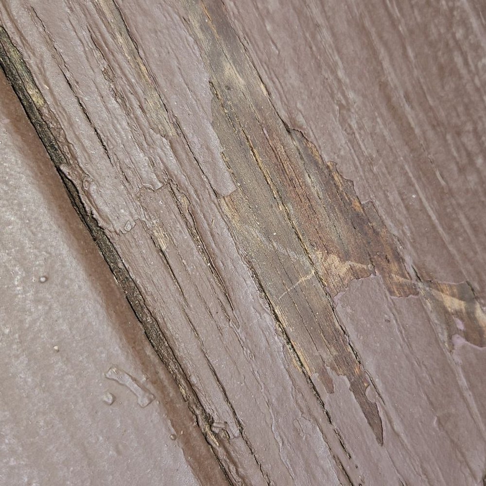 Wood Renew - Pressure Washers Near Me - Springfield, Missouri Wood Renew - Pressure Washers Near Me - Springfield, Missouri