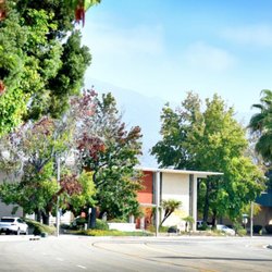 I.Q. 180 Academy