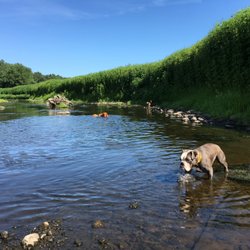 Love 2 Lead K9 Training & Services