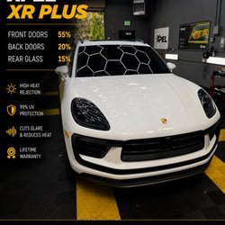 Lion Window Tinting