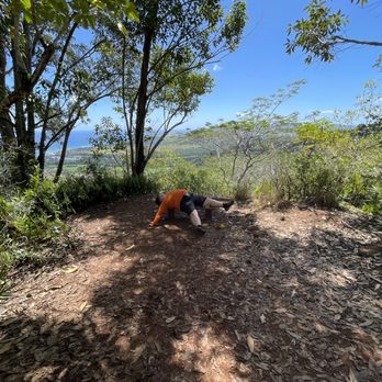 Sleeping Giant Trail - Made it to the bench at 12:25p - Hiking Near Me - Kapaa, Hawaii