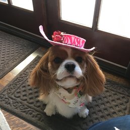 Tiffany back from her day of beauty! Tiffany back from her day of beauty!