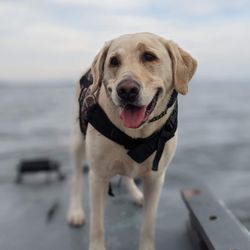 Reel Blonde Outdoors Fishing Charters