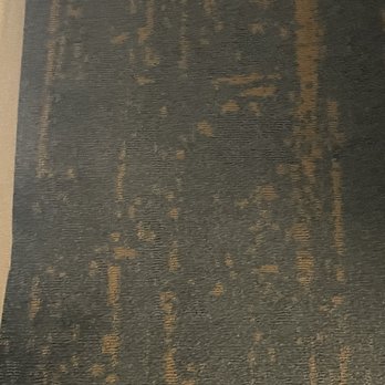 The Read House - Dirty dingy carpet next to beds - Hotels Near Me - Chattanooga, Tennessee