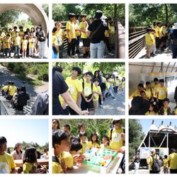 Brightminds Academy