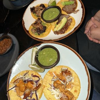 La Popular Austin - Taco Combo (Ribeye &Carnitas) w Rice and Beans Creamy Chipotle Shrimp Tacos - Mexican Near Me - Austin, Texas La Popular Austin - Taco Combo (Ribeye &Carnitas) w Rice and Beans Creamy Chipotle Shrimp Tacos - Mexican Near Me - Austin, Texas