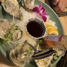 Oysters