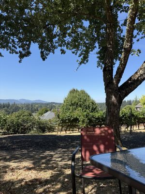 Springhill Cellars Winery (Open May-December) by null