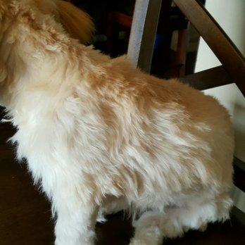 Petco - I tipped $10 ontop of $45. Not worth it at all. Not worth another chance. - Pet Stores Near Me - Redondo Beach, California Petco - I tipped $10 ontop of $45. Not worth it at all. Not worth another chance. - Pet Stores Near Me - Redondo Beach, California