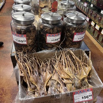 Asia Hiwave City - Traditional Chinese Medicine Near Me - Bellevue, Washington