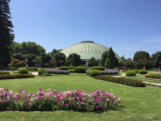 Jardins do Palácio de Cristal by null