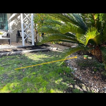 Nor Cal Fumigation - Nor Cal crew placed the tea bag boxes out on my lawn that I forgot in the cabinets. - Pest Control Near Me - San Jose, California Nor Cal Fumigation - Nor Cal crew placed the tea bag boxes out on my lawn that I forgot in the cabinets. - Pest Control Near Me - San Jose, California