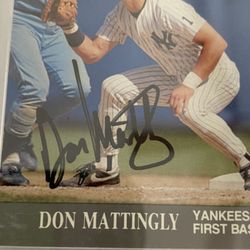 Bald Eagle Auctions