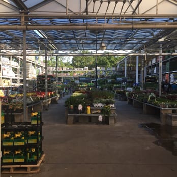 The Home Depot - Garden center - Nurseries & Gardening Near Me - Jacksonville, Florida The Home Depot - Garden center - Nurseries & Gardening Near Me - Jacksonville, Florida