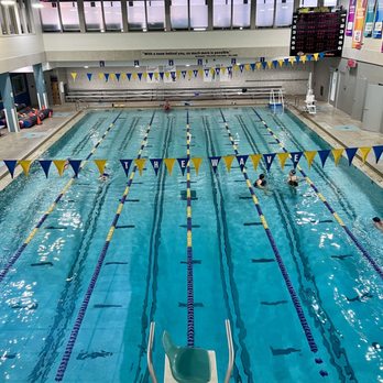 Dahl Family YMCA - Swimming pool from above. Notice the stairs added for accessible entry. Also a co-ed hot tub, sauna, and steam room off camera. - Gyms Near Me - La Crosse, Wisconsin