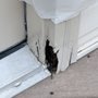 WM Painting and Handyman