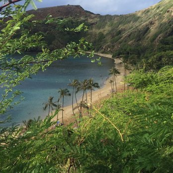 Aloha Trikke - Hanauma Bay - Tours Near Me - Honolulu, Hawaii