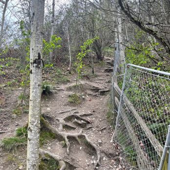 Crestview Park - This is a cool trail. - Parks Near Me - Tukwila, Washington Crestview Park - This is a cool trail. - Parks Near Me - Tukwila, Washington