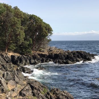 Lime Kiln Point State Park - Parks Near Me - Friday Harbor, Washington
