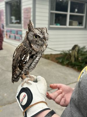 Audubon Center for Birds of Prey by null