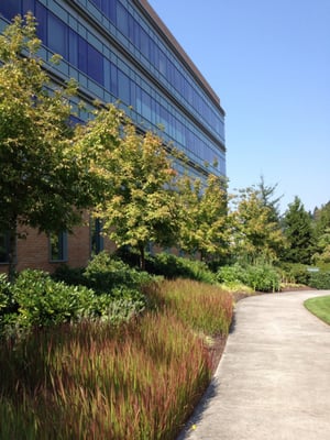 Legacy Salmon Creek Medical Center by null