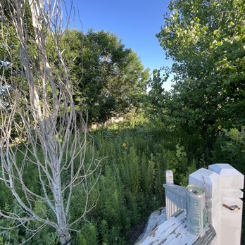Mendoza Brother’s - And another before. - Landscaping Near Me - Watkins , Colorado Mendoza Brother’s - And another before. - Landscaping Near Me - Watkins , Colorado