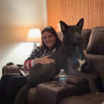 K9 Commands - Me and Rebel - Pet Training Near Me