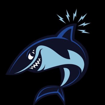 Spark Shark - Logo - Electricians Near Me