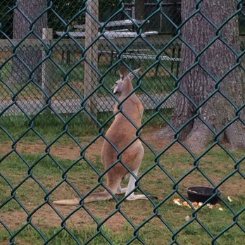 York Wild Kingdom - Amusement Parks Near Me - York, Maine