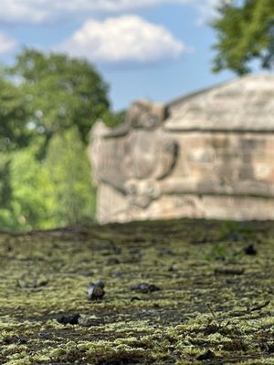 Imperial Castle of Nuremberg by null