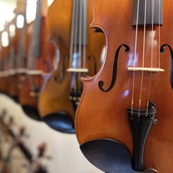 Meyer Music - Violins