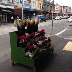 Flowers by Tribal Rose - Bargains out the front.